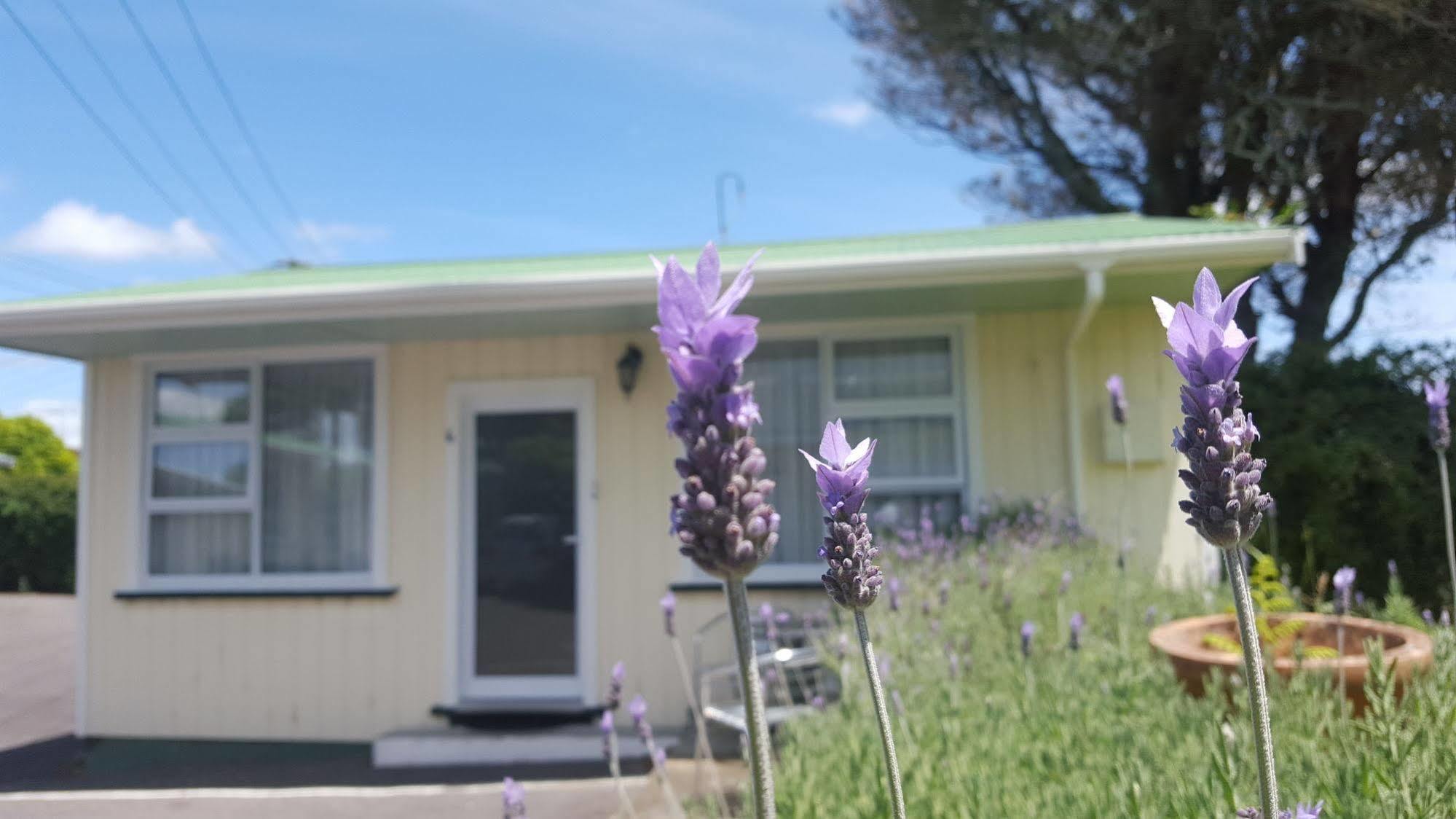 Timandra Motel New Plymouth Eksteriør billede